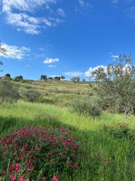 Casa Country Agrigento Exterior foto